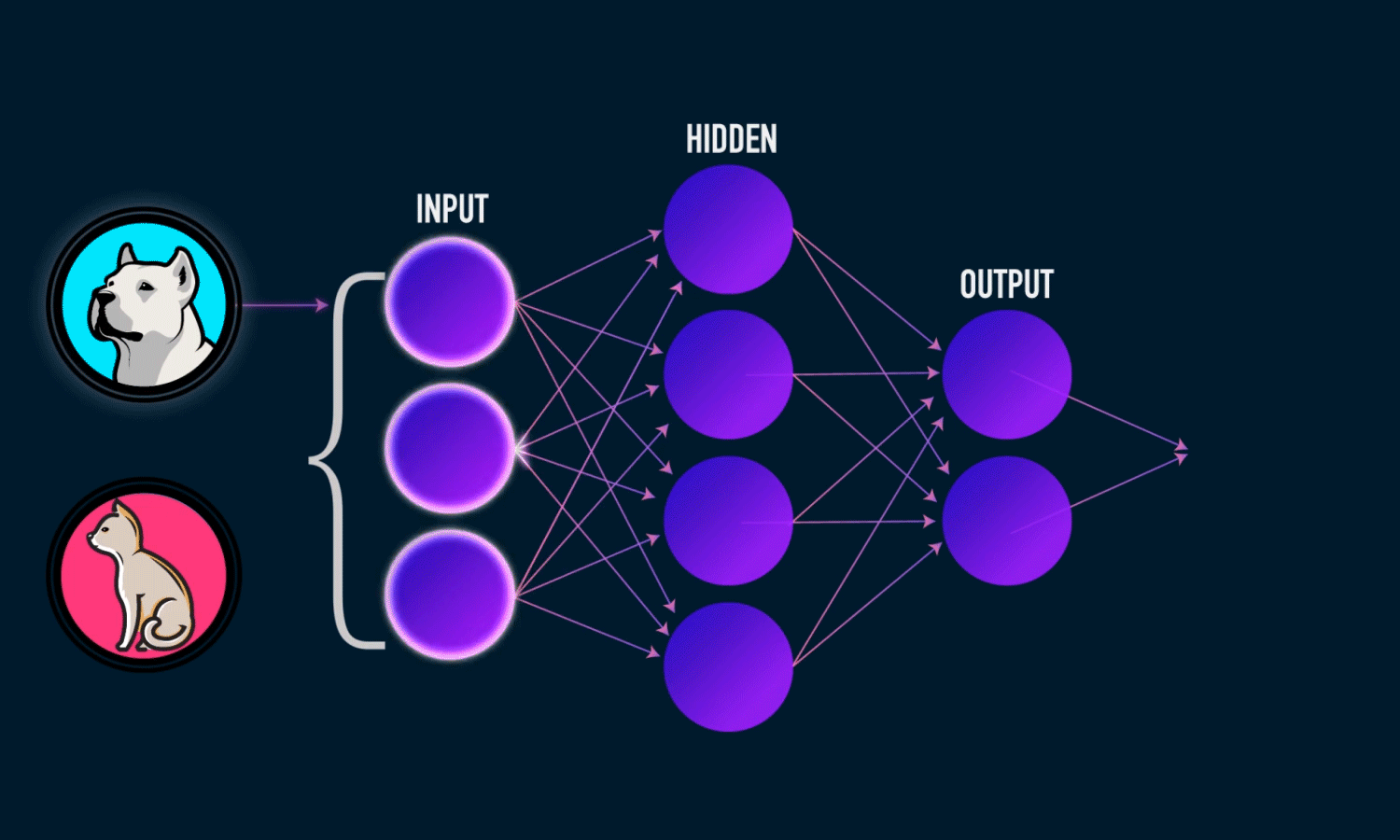 Deep Learning GIF